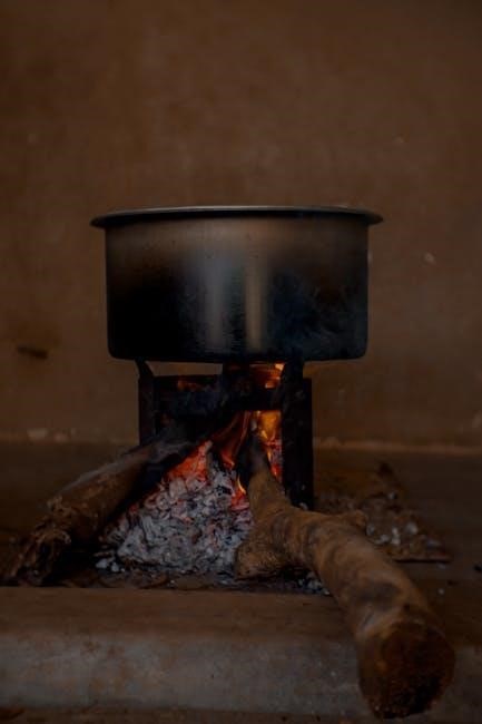 napoleon gas fireplace manual