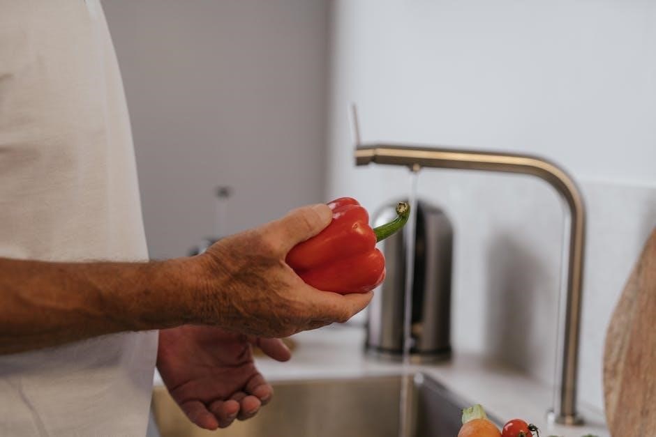kitchen cleaning checklist pdf