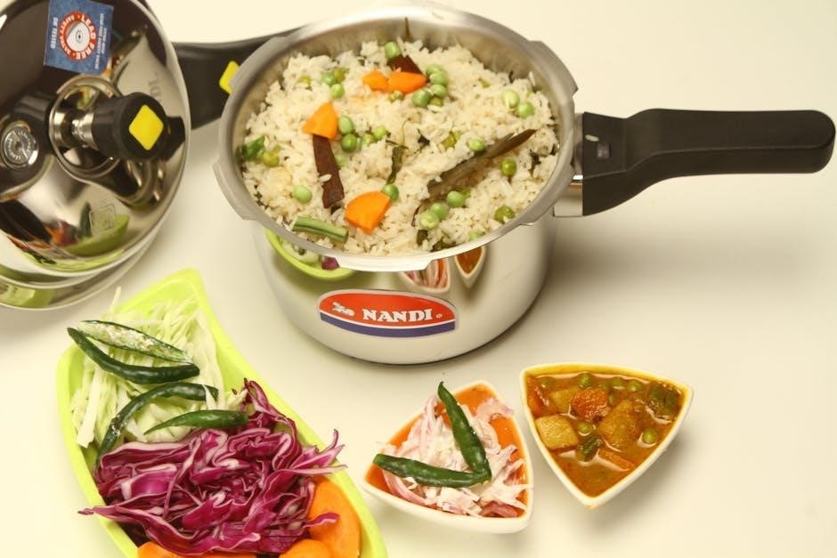 tefal rice cooker steamer instructions