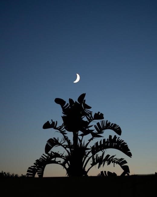 twilight new moon pdf