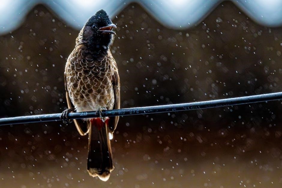 rain bird 42sa+ adjustment instructions